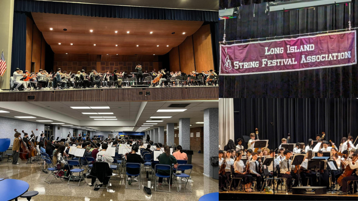 15 Middle Country Central School District Students Selected for Long Island String Festival Association