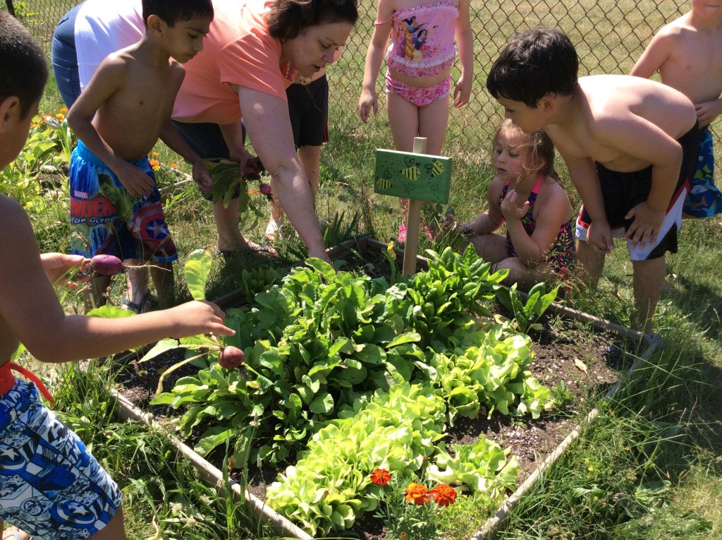 Kindergarten Students Learn To Grow a Kinder Garden – Middle Country ...